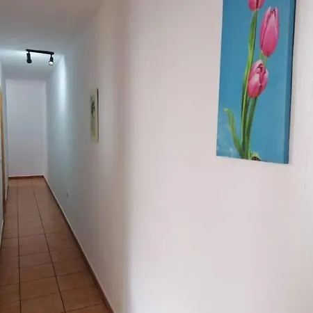 Remarkable 3-Bed Apartment In Puertito De Guimar Daire